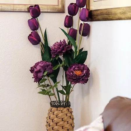 Bird Lamp Luxury Bacvice, * Спліт