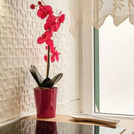 Bird Lamp Luxury Bacvice, Апартаменты