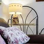 Bird Lamp Luxury Bacvice, Apartament *