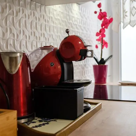 דירה Bird Lamp Luxury Bacvice, ספליט